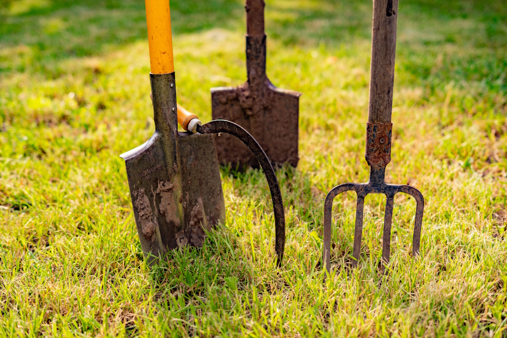 inserted shovel and pitchfork into the ground in the garden